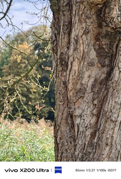 IMG_20250927_120637.jpeg