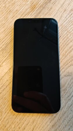 IMG20250926123959_Original.jpeg