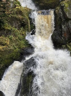 IMG_7124 2.jpeg