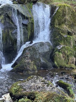 IMG_0750 2.jpeg