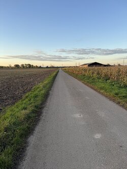 IMG_1209.jpeg