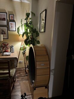 iP13mini_IMG_0864.JPG