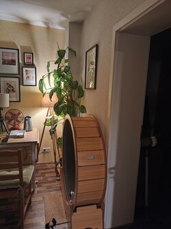 X12_IMG_20251009_190054.jpg