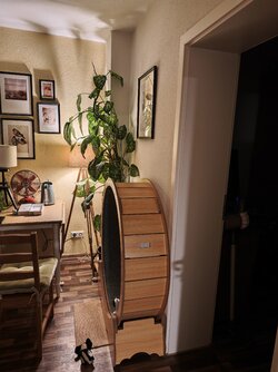 X17pro_IMG_20251009_185950.jpg