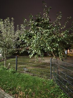 X17pro_IMG_20251009_200607.jpg