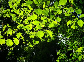 IMG_20250915_143827.jpg