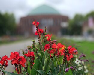 IMG_20250921_124157.jpg