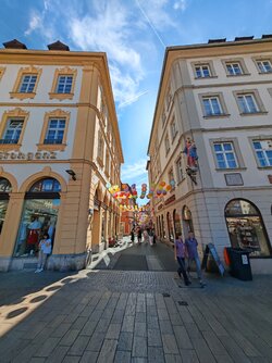 IMG_20250919_135253.jpg