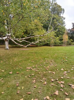 X12_IMG_20251010_101417.jpg