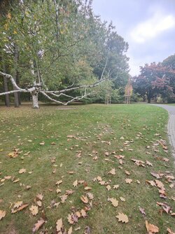X12_IMG_20251010_101430.jpg
