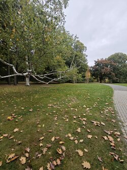 X14_IMG_20251010_101454.jpg