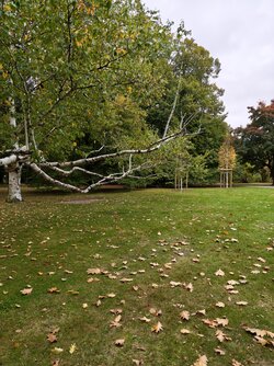 X17pro_IMG_20251010_101510.jpg