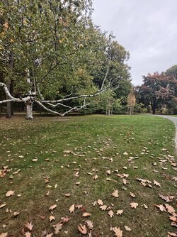 X17pro_IMG_20251010_101516.jpg