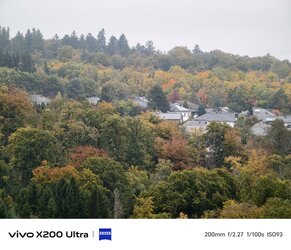 IMG_20251010_114307.jpg