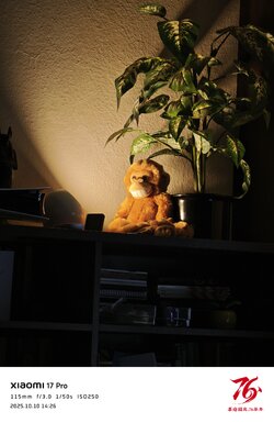 IMG_20251010_142637.jpg