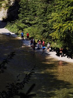 IMG_20250815_101540.jpg
