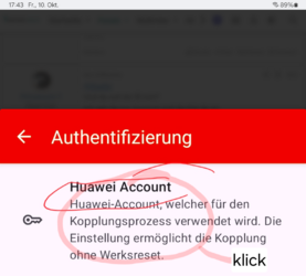 Screenshot_20251010_174336_Samsung Internet.png