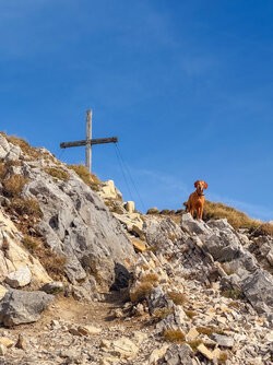 IMG_1113_LuminarNeo-edit.jpg