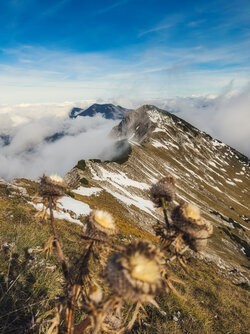 IMG_1118_LuminarNeo-edit.jpg