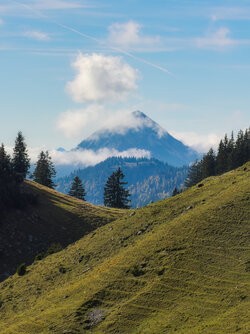 IMG_1148_LuminarNeo-edit.jpg