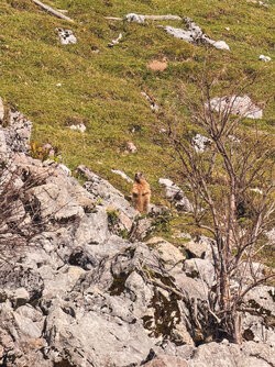 IMG_1102-Bearbeitet_LuminarNeo-edit.jpg