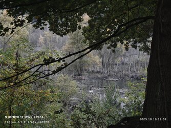 IMG_20251010_180833.jpg IMG_20251010_180833.jpg