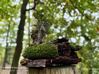 IMG_20251010_180529.jpg IMG_20251010_180529.jpg