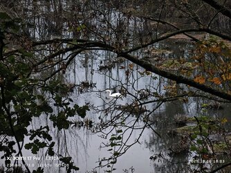 IMG_20251010_180306.jpg IMG_20251010_180306.jpg