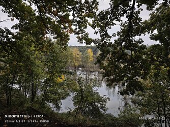 IMG_20251010_180153.jpg IMG_20251010_180153.jpg