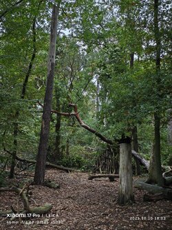 IMG_20251010_180341.jpg IMG_20251010_180341.jpg