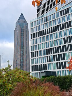 IMG_20251010_151839.jpg