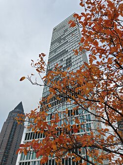 IMG_20251010_151955.jpg