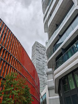 IMG_20251010_154341.jpg