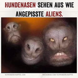 Schwarzer-kaffee-1760119470537-scaled.png