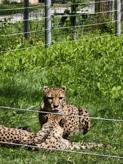 IMG_20250730_111422.jpg