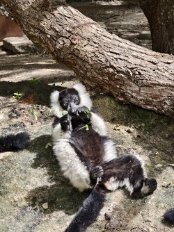 IMG_20250730_114818.jpg