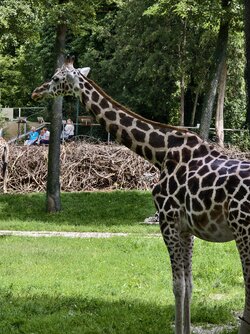 IMG_20250730_135042.jpg
