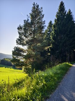 IMG_20250919_173112.jpg