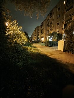 X15_IMG_20251011_013834.jpg