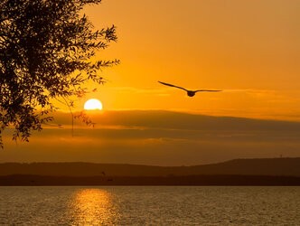 IMG_9520.jpg