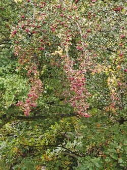 X17pro_IMG_20251011_133422.jpg