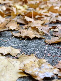 IMG_20251011_161726401~2.jpg