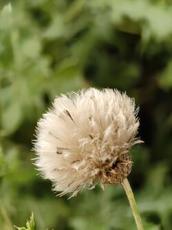 IMG_20251011_162510227~2.jpg