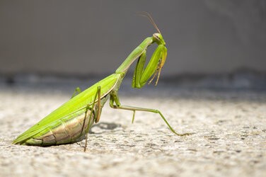IMG_20251011_125518.jpg