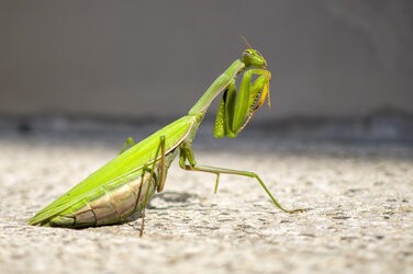 IMG_20251011_125521.jpg