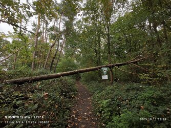 IMG_20251011_153801.jpg IMG_20251011_153801.jpg