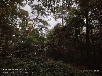 IMG_20251011_153936.jpg IMG_20251011_153936.jpg