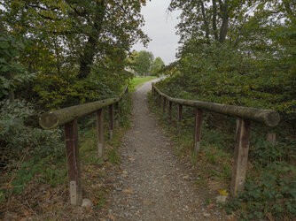 IMG_20251011_155501 (2).jpg IMG_20251011_155501 (2).jpg