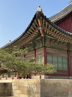 IMG_8235 2.jpeg