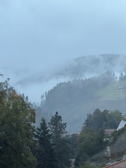 IMG_5923 2.jpeg
